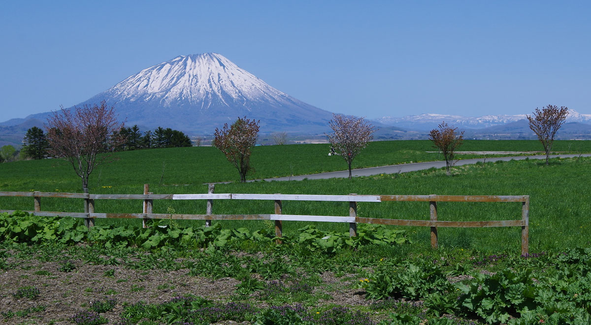 お気に入りの風景